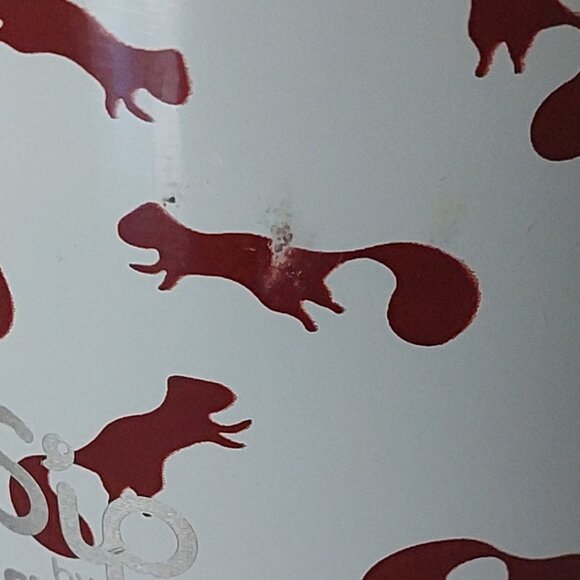 S'ip by S'Well 15oz Stainless Steel Whimsy Squirrel Water Bottle - Picture 9 of 9